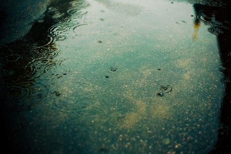 Raindrops fall on the water surface of a puddle on the street in the city and create circles on the water. Cloudy weather in the city.の写真素材