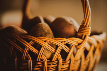 Tubers of newly harvested potatoes lie in a wicker basket, illuminated by light. Harvest vegetables from the farm. Vegetarianism.の写真素材