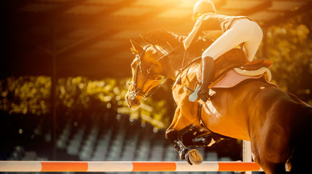A rear view of a racing bay horse with a rider in the saddle, which jumps over a high barrier at a show jumping competition on a sunny day. Equestrian sports and horse riding.の写真素材