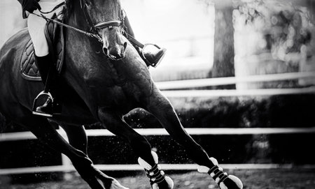This is a black- white photo of a horse galloping at a competition, kicking up dust as it moves. The...