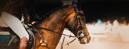Portrait of a beautiful bay horse with a rider in the saddle, galloping at a dressage competition. Equestrian sports and horse riding.の写真素材