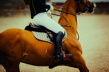 A beautiful sorrel horse, with a rider on its back, gallops at an equestrian competition.
