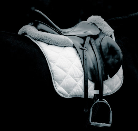 The black horse is wearing sporting equipment - a saddle and stirrups. It is part of horse riding and equestrian activities. The photo is in black and white.の写真素材