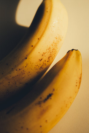 Two delicious yellow bananas lie on the table, bathed in sunlight. They are ripe and healthy fruits that are part of a healthy diet.の写真素材