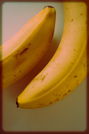 A vintage photo of two ripe yellow bananas on a table. The health benefits of fruits.の写真素材