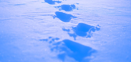 There are traces of someone who once walked here in the snow. The sunlight glints off the snow, creating a beautiful winter scene. It's a winter day with snow.の写真素材