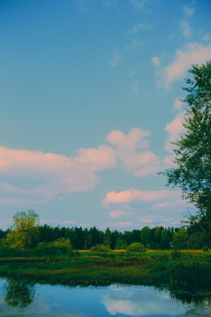 A summer landscape with clear skies and a beautiful blue sky, dotted with clouds, overlooking a clear forested lake. The wildlife and tranquility create an idyllic atmosphere.の写真素材