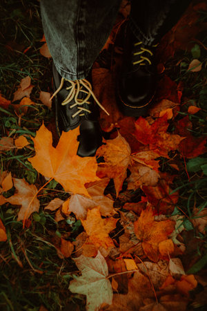 A human in boots with yellow laces stands in a forest, where the grass is strewn with fallen yellow and red maple leaves in the autumn season.の写真素材
