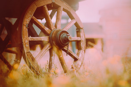 The wheels of an old wooden cart stand on a field surrounded by wild yellow flowers. This scene captures the beauty of farming and harvesting in its simplicity.の写真素材