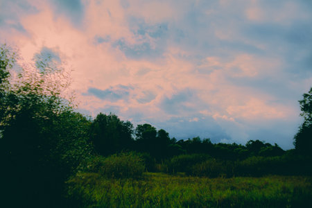 A summer scene with a blue-pink sky and a green meadow create a peaceful natural setting in the park. The clouds float above, adding to the overall atmosphere of tranquility.の写真素材