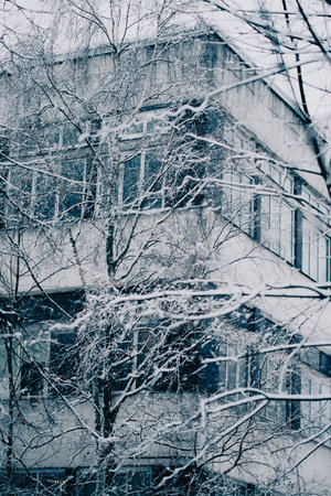 The facade of the building stands out among the branches of the trees covered in snow. It's a snowy January day, and winter is in full force in the city.の写真素材
