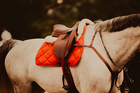 A beautiful gray horse stands on a summer's day, dressed in its equestrian gear. The stirrups and bridle are securely fastened to its body, and a saddle is resting on its back, ready for a thrillingの写真素材