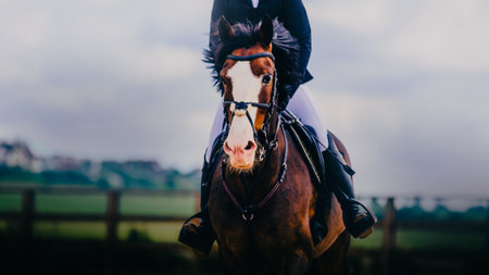 A portrait of a beautiful horse with a rider on its back, galloping at full speed during a sports competition on a summer day with clouds in the sky.の写真素材