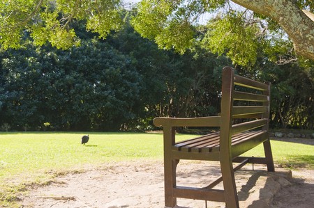 A beautiful peaceful public garden on a sunny Winters day.の写真素材