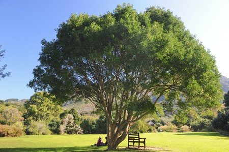 A beautiful peaceful public garden on a sunny Winters day.の写真素材