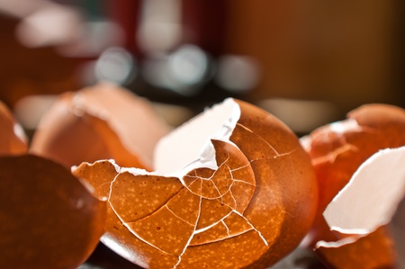 Cracked eggshells with backlight from sun through a window, cracked into interesting patterns.の写真素材