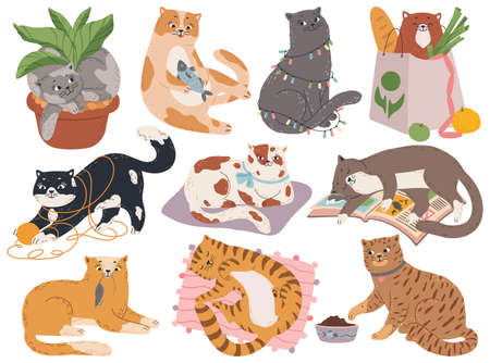 Cats. Cute fluffy kitty playing with yarn or toys, sleeping in bed, sitting in plant pot. Cartoon...