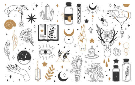 Mystic and esoteric elements. Moon, witch hands crystals, potions flowers. Mystical astrology, magic witchcraft occult symbols vector set. Bottles with poison, talisman and feathersのイラスト素材