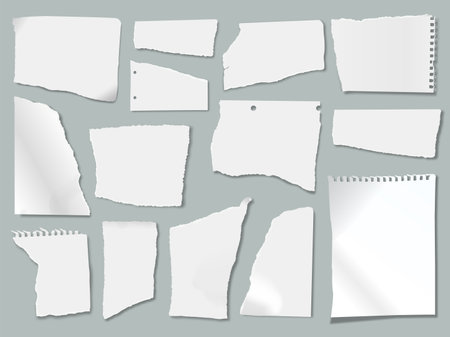 Ripped paper scraps with torn edges, ragged papers pieces. Realistic white crumpled notebook sheets, shredded page strips vector set. Clean or blank fragments for notices from notepadのイラスト素材