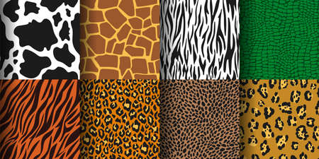 Animal print seamless pattern, tiger, leopard skin background. Cheetah, zebra, giraffe skins, wild jungle animals prints texture vector set. Fashionable repeating fabric for clothesのイラスト素材