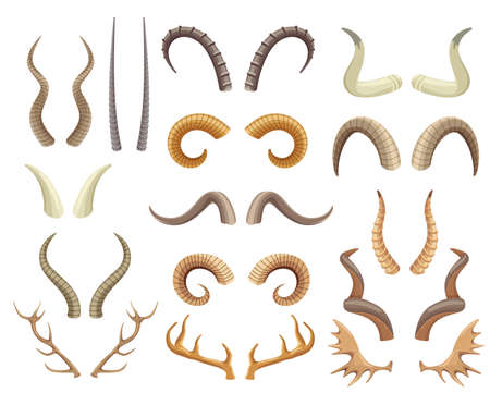 Animal horns and antlers, antelope, ram, moose, reindeer horn. Wild animals hunting trophies, deer antler, buffalo and goat horns vector set. Wildlife mammals elements isolated on whiteのイラスト素材