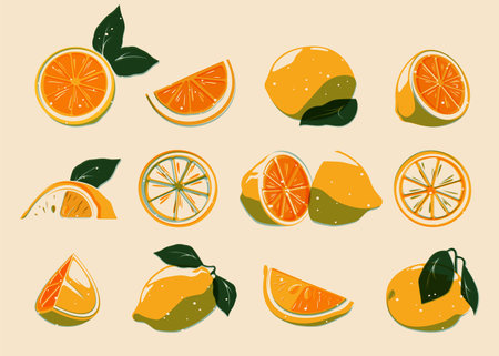 Sliced printed lemons. Fresh organic citrus pieces, cartoon natural botanical lemon orange tangerine elements for diet and healthy food logo design. Vector isolated set. Juicy ingredient for lemonadeのイラスト素材