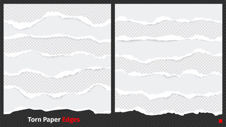 Ripped paper edges. Damaged scrap tattered paper, torn sheet borders with sticky tear scrap elements. Vector texture of edge paper tattered illustrationのイラスト素材