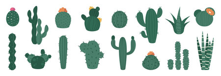 Cartoon cactus. Cute prickly plant with flowers, mexican desert flora decorative icons, organic decorative elements for summer design. Vector isolated setのイラスト素材