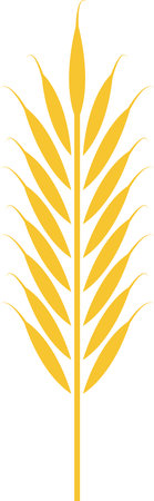 Yellow vector illustration featuring an ear of wheat, isolated against a white background, symbolizing agriculture, farming, healthy food, and various cerealsのイラスト素材