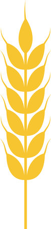 Simple and elegant illustration of a golden wheat stalk, symbolizing agriculture, farming, food production, and the importance of grains in human dietのイラスト素材