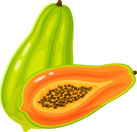 Whole and halved papaya fruit displaying a green exterior contrasted with a vibrant orange interior filled with small black seedsのイラスト素材