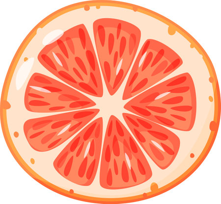 Close up view showcasing a juicy grapefruit slice, highlighting its vibrant segments and textured flesh, creating a refreshing and healthy visual ideal for promoting nutritious eatingのイラスト素材