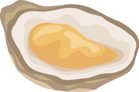 Open oyster vector illustration highlighting the contrast between the soft, fleshy inner body and the rough texture of the outer shell, ideal for seafood restaurant menus or culinary illustrationsのイラスト素材