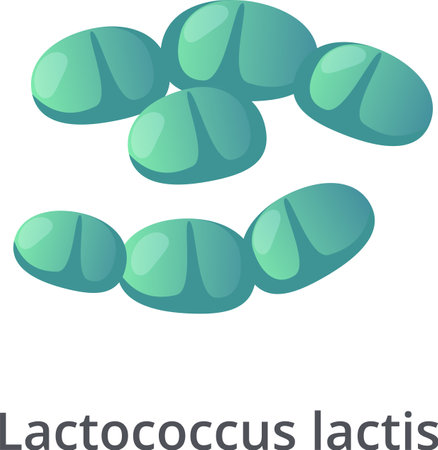 Lactococcus lactis bacteria forming a chain and a cluster, probiotic bacterium, lactic acid bacterium, isolated on white background, 3d renderingのイラスト素材