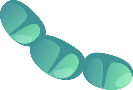 Chains of Streptococcus pneumoniae bacteria, significant pathogens causing pneumonia, meningitis, and other respiratory infections, highlighting their impact on healthのイラスト素材