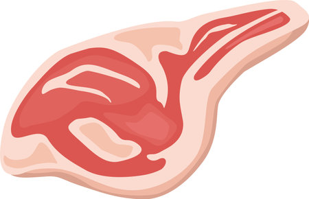 Cartoon illustration featuring a slice of raw red meat, emphasizing vibrant colors and textures, perfect for themes of cooking, butchery, and fresh ingredientsのイラスト素材