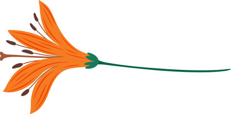 Orange lily flower featuring a long green stem, lying horizontally against a pristine white background, creating a simple yet elegant floral design element perfect for various artistic applicationsのイラスト素材