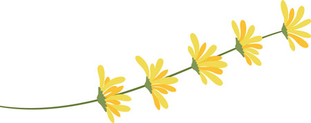 Five stylized yellow flowers with long, elegant petals blooming on a slender green stem, creating a gentle wavy line against a clean white background, exuding freshness and beautyのイラスト素材