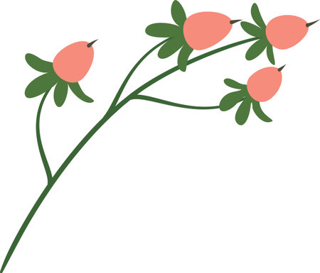 Rose hips growing on a branch adorned with vibrant green leaves, forming a simple yet elegant natural composition against a clean white background, highlighting beauty in natureのイラスト素材