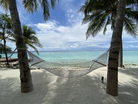 Empty hammock by the beachの写真素材