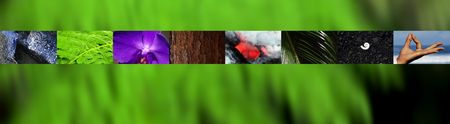 zen bannerの写真素材