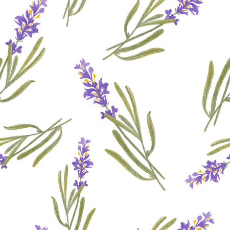 pencil sketch illustration of lavender of Provenceのイラスト素材