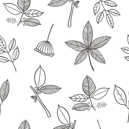winter berries seamless backgroundのイラスト素材