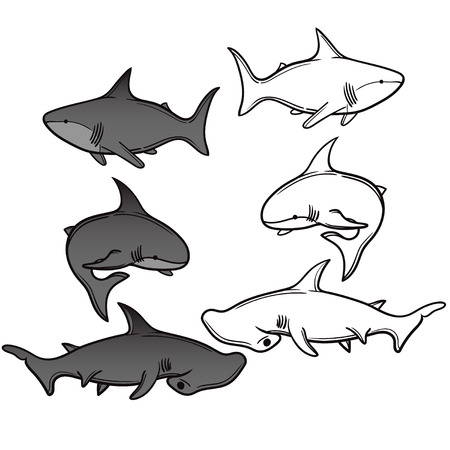set of cartoon sharkのイラスト素材