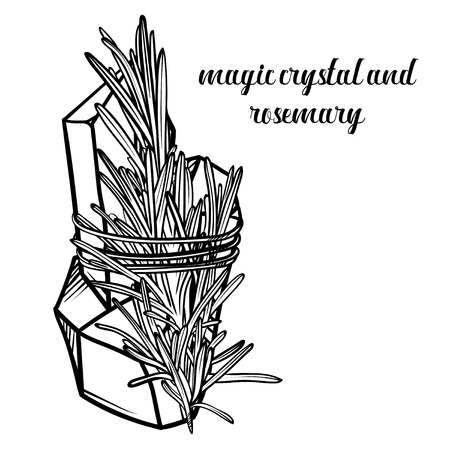 Vector magic crystal and a sprig of rosemary. Botanical illustration with crystal and herb.のイラスト素材