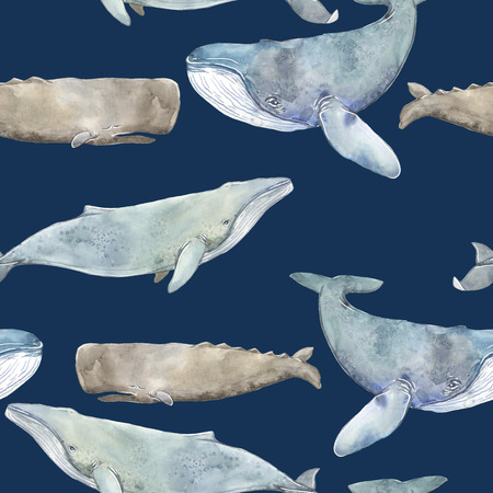 Watercolor illustration with whale. Seamless pattern with watercolor whales.の写真素材