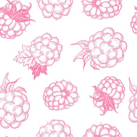 Sketch style vector eco food illustration. Hand drawn raspberry and blackberry seamless pattern on white background.のイラスト素材