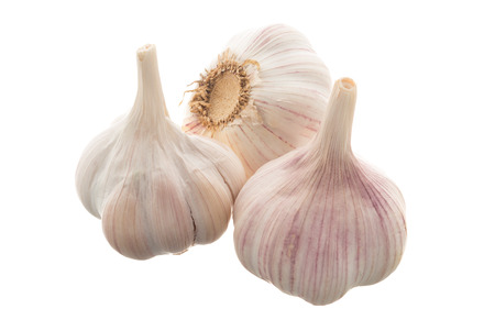 Garlic isolated on white backgroundの写真素材