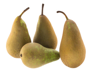Four conference pears isolated on white backgroundの写真素材