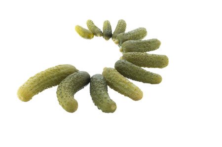 Pickled gherkins in semicircle isolated on white backgroundの写真素材